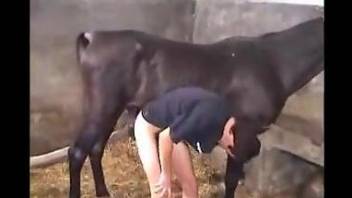 Cheating dude cucks his wife with a big dicked stallion