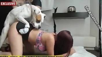Sexy lady selling her pussy to a dirty little doggo