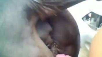 Mare's wet pussy gets fucked from behind by a hot dude