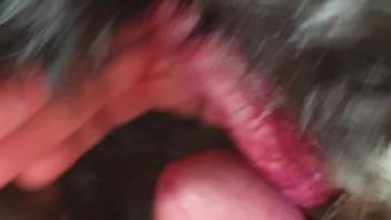 Passionate rubbing encounter with a massively endowed guy