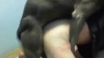 Narrow booty getting fucked by an assertive dog