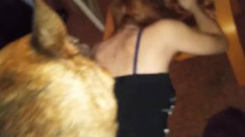 Moist pussy babe getting destroyed by a dirty dog
