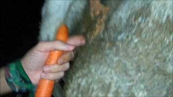 Guy pounding a sexy hairy vagina from behind with intense force