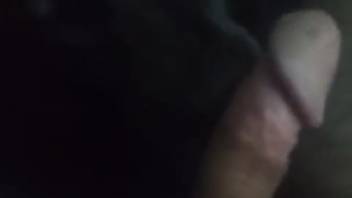 Guy's cock is satisfied in first-person view by a dark canine