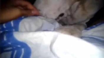 First-person perspective oral sex sequence starring an extremely alluring creature