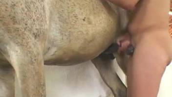 Curly Latina pleasures a horse with her mouth