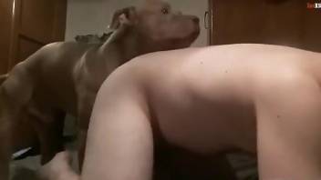 Dirty animal fucking a submissive zoophile here