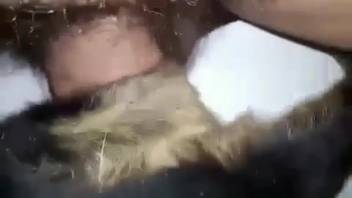 Guy with a bushy dick slamming into this beast's opening