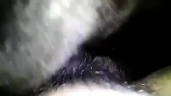 好色的男人把他的整个鸡巴插入狗的阴道