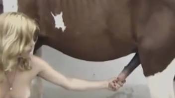 Blonde in nylons hunts for ecstasy with a well-endowed stallion