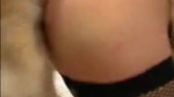 Housewife in fishnet stockings gets screwed by a canine