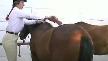 Lustful lady with nice  breasts fucking a horse hard