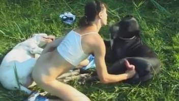 Slender rural lass pounded by a duo of canines in the open air