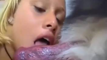 Stunning chicks alternate blowing the canine cock on webcam