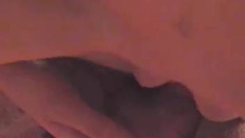 Blonde woman in a collar relishing intense anal sex with a dog