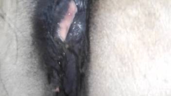 Pale-skinned vixen with a steamy slit displaying her nectar outdoors