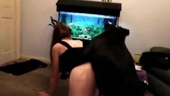 Abused bitch getting fucked by a dominant dog again