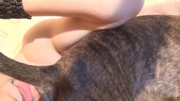 Blonde chick tongues and fellates the canine cock prior to intercourse