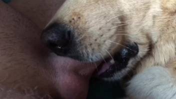 Guy thrusting his thick cock into a beast's gullet