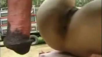 Obedient slave girl 18+ has sex with a horse while her mistress watches