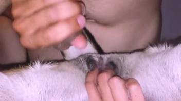 Aroused guy bangs his pet dog at home in a rough webcam clip