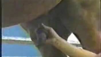Classic beast sex montage featuring eager women