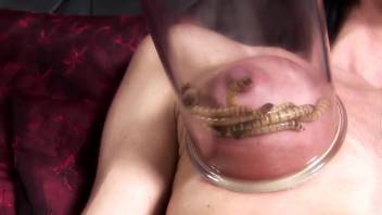 Woman with a squirmy vagina is the ultimate type of female