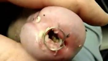 Horny male inserts a lot of worms in his dick while masturbating