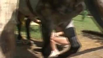 Spicy mature craves this horse dick right up her pussy