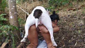 Latina beauty makes out with the dog in true perversions