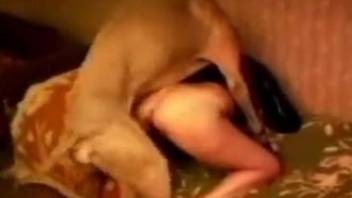 Passionate fucking with a big-breasted zoophile lady