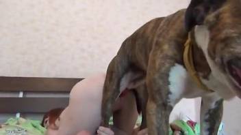 Amateur cam slut filmed when pushing the dog's dick in both holes