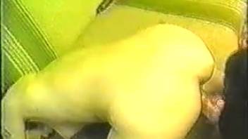 Perverted animal lovers are fondling the manhood of a dog