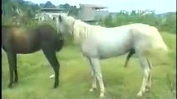 Tough guy banging every creature he comes across
