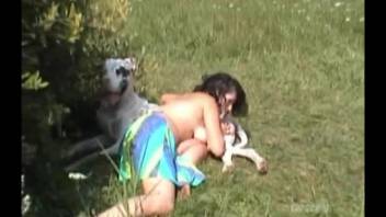Collection of the steamiest European animal sex acts