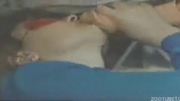 Intense close-up oral sex performed by an aroused bestiality-loving female