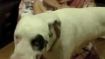 Blonde mature woman spends her nights indulging in bestiality encounters
