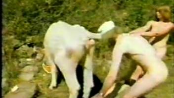 Vintage animal sex film with numerous subtitles
