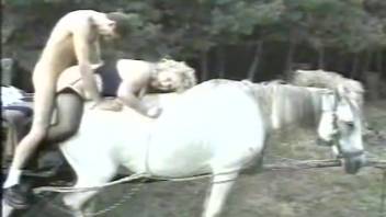 A perverted guy bangs a female horse after screwing his girlfriend
