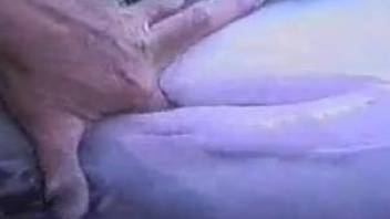 Dude fingering a dolphin's pussy in a strange porn vid