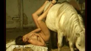 Foot fetish gal fucking a big-dicked pony on cam