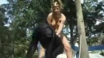 monkey