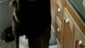 Blonde in stockings gets deeply and roughly penetrated