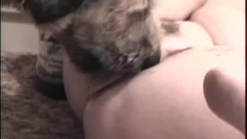 Steamy older lady tongued and pounded in her vagina by the canine