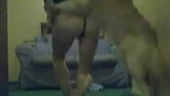 Naughty young girl destroyed by a massive-cocked beast