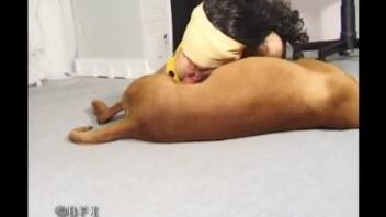 Brunette in polka dots gets pounded by a dog in doggy style