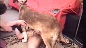 Overweight animal-lover chick bangs a dog before banging her husband