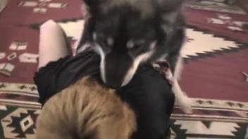 Plump slut being hammered by her personal beast