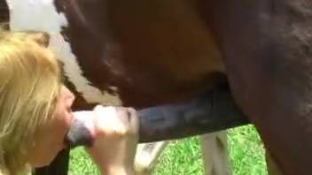 Gentle-featured blonde eagerly bangs a well-endowed stud