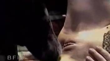 Skinny beauty with a smooth pussy fucking a horny dog